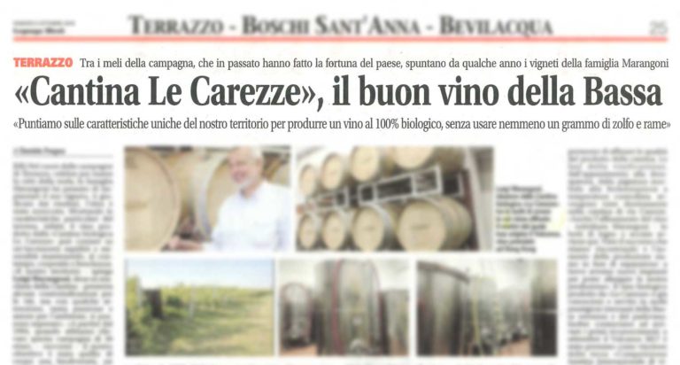 “Cantina Le Carezze”, the good wine of the South of Verona
