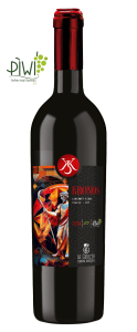 Bottle of wine Kronos Cabernet Eidos IGT 2021